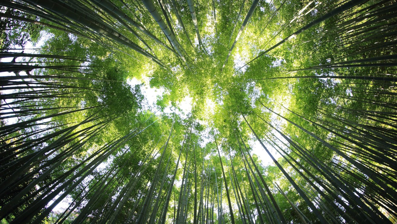Climate and Health